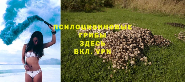 кокс Бородино