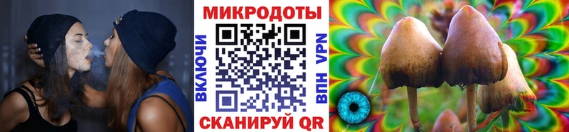 где можно купить наркотик  Любань  Галлюциногенные грибы ЛСД 